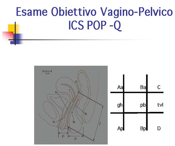 Esame Obiettivo Vagino - Pelvico: ICS POP-Q 